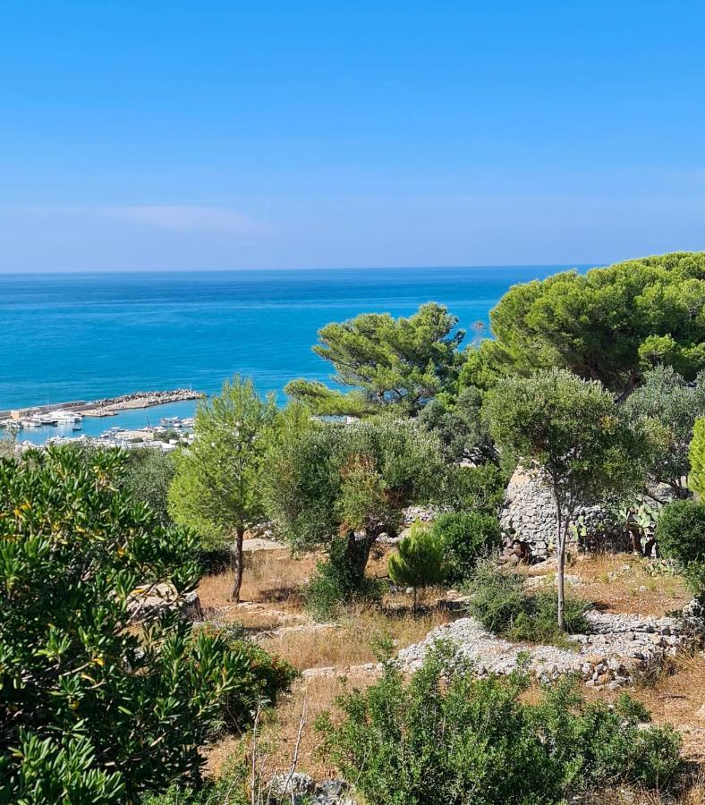 Villa Panoramica Sunset House Torre Vado Dış mekan fotoğraf