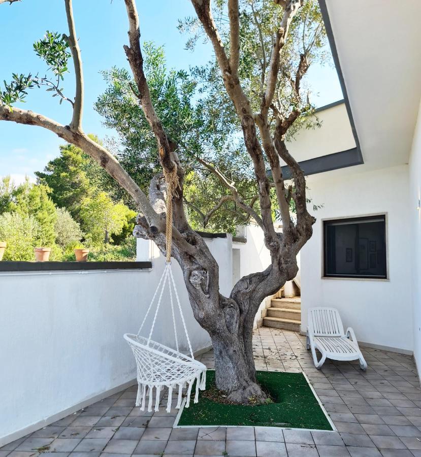 Villa Panoramica Sunset House Torre Vado Dış mekan fotoğraf